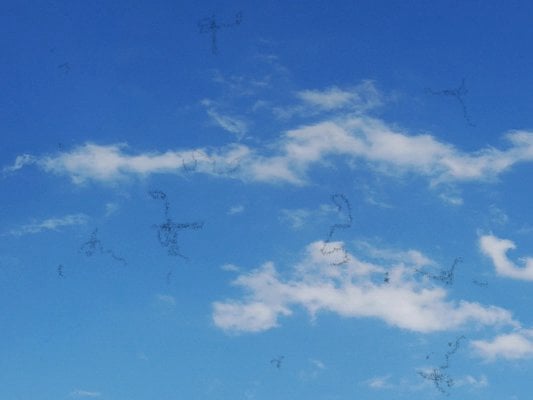 gözde uçuşan cisimler siyah noktalar nasıl geçer